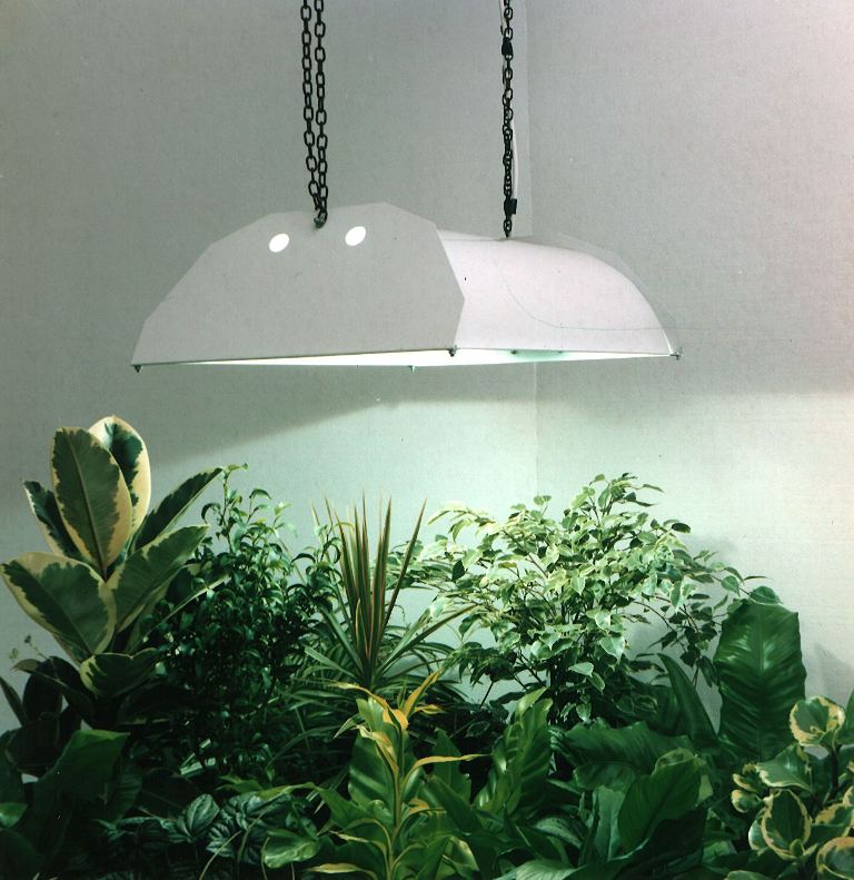 Artificial light for plants