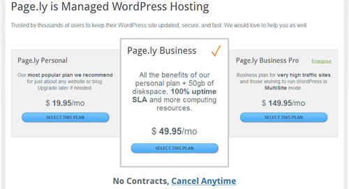 pagely-pricing Page.ly Wordpress Hosting Review & Page.ly Promo Codes