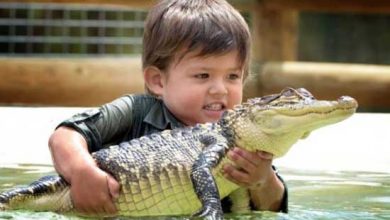 crocodile4 3 years old boy invincible crocodile troublemaker - 8 cooking tips