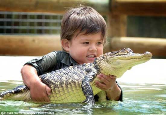 crocodile4 3 years old boy invincible crocodile troublemaker - child 2