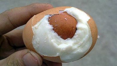 egg within an egg