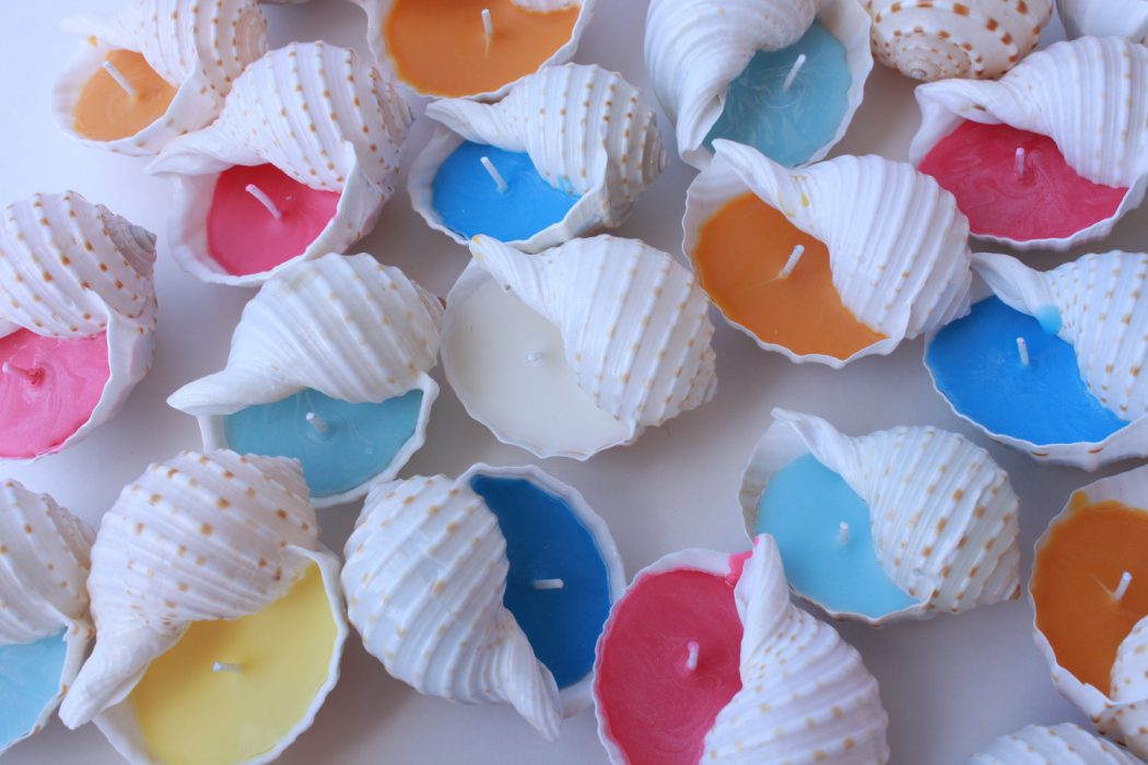 shells Lighting