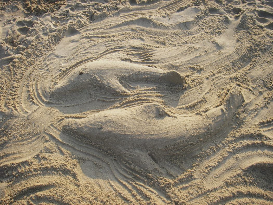 Dolphin Sand Art by mizuiruka