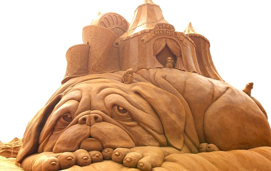 amazing-sand-sculptures1 The Best 10 Videos and 30 images for Sand Art