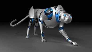 cheetah 7 Newest Robot Generations and Their Uses - 10