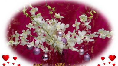christmas flower card 15 Most Stylish printable greeting cards - 52