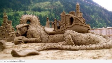great sand monster1 The Best 10 Videos and 30 images for Sand Art - 155