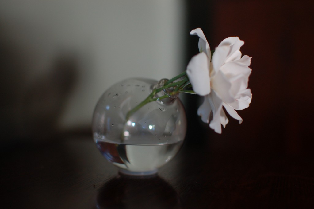 20 unique wedding giveaways ideas 57 18