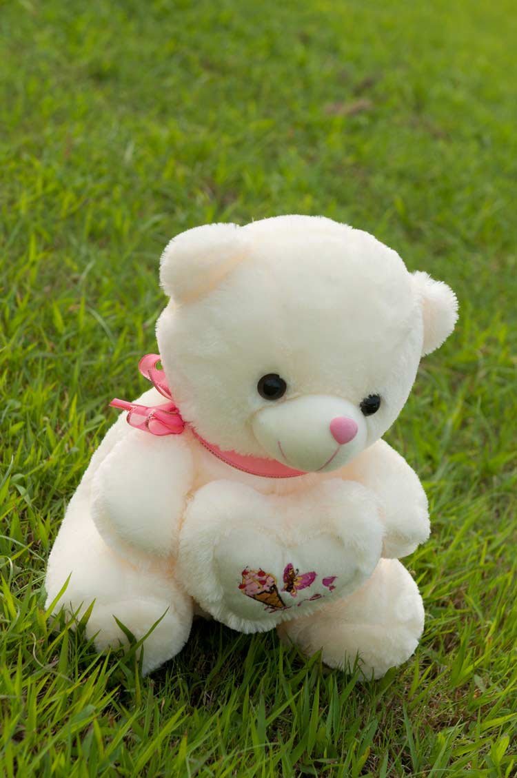 Free-shipping-New-arrival-teddy-bears-dolls-plush-gift-toys-teddy-bear-birthday-gifts-4-designs