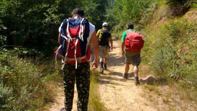 Hiking Backpack 02 To Choose The Best Hiking Backpack, Just Follow These Steps - 184
