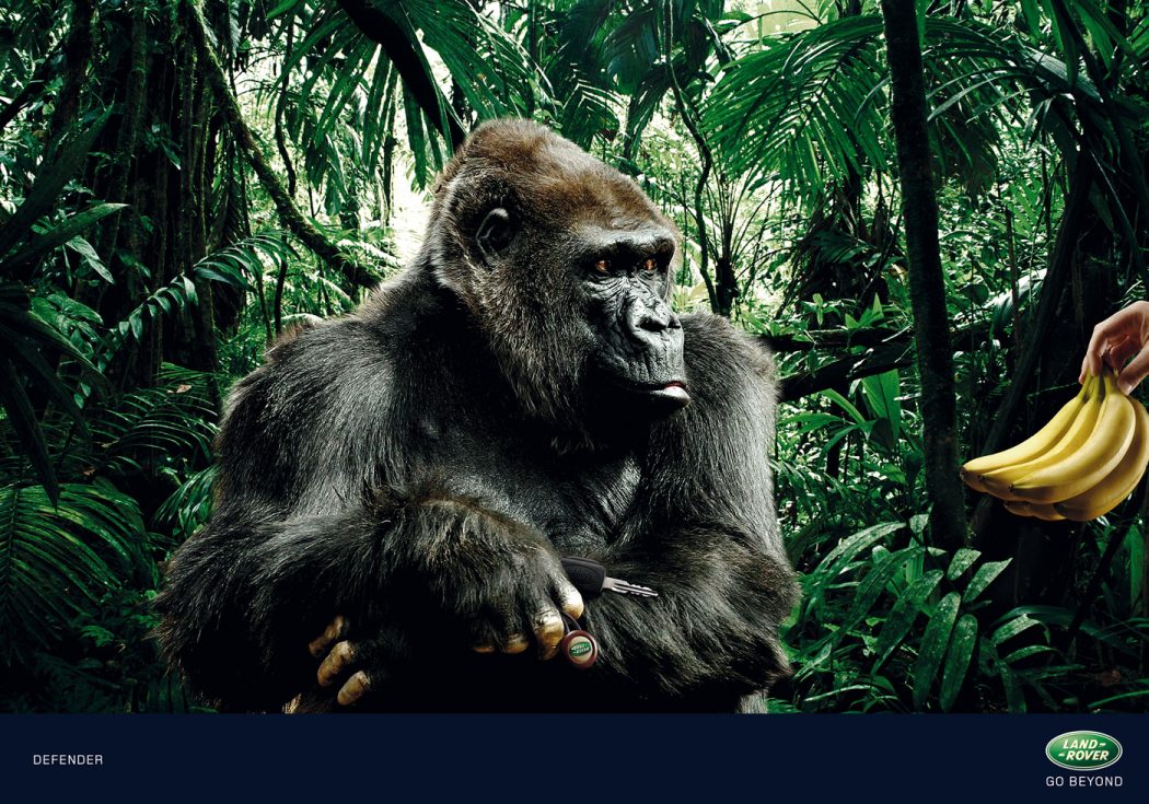 40 Most Creative and Dazzling Auto Ads 35 LandRover Gorilla