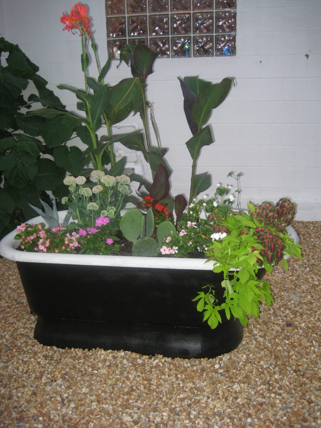 bathtub-planter 10 Fascinating and Unique Ideas for Portable Gardens