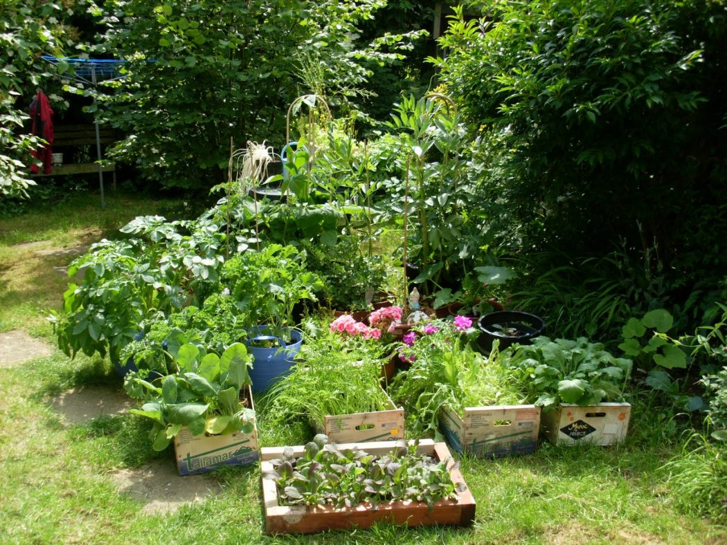 garden