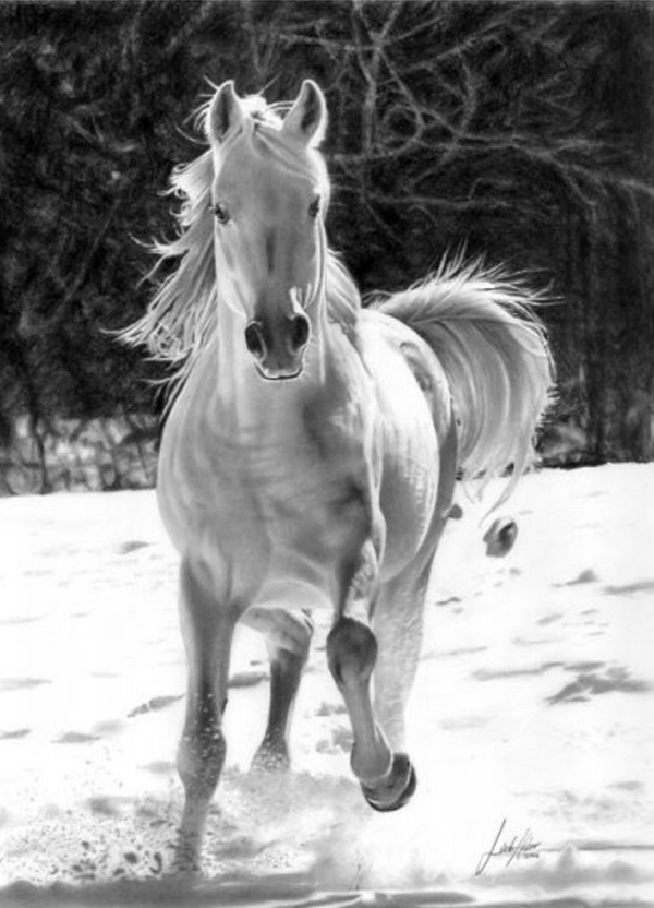 Stunningly And Incredibly Realistic Pencil Portraits 57 horse