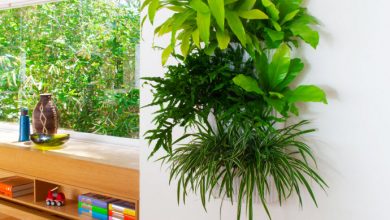 living wall planter indoor lowres 10 Fascinating and Unique Ideas for Portable Gardens - 1