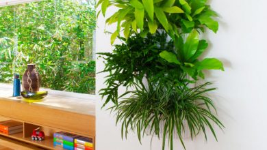 living wall planter indoor lowres 10 Fascinating and Unique Ideas for Portable Gardens - 84