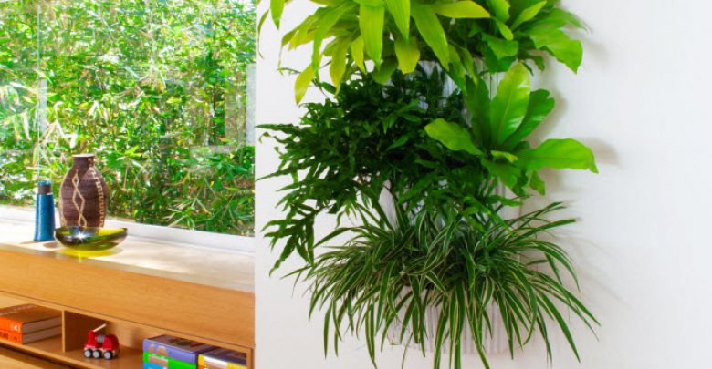 living wall planter indoor lowres 10 Fascinating and Unique Ideas for Portable Gardens - portable gardens 1