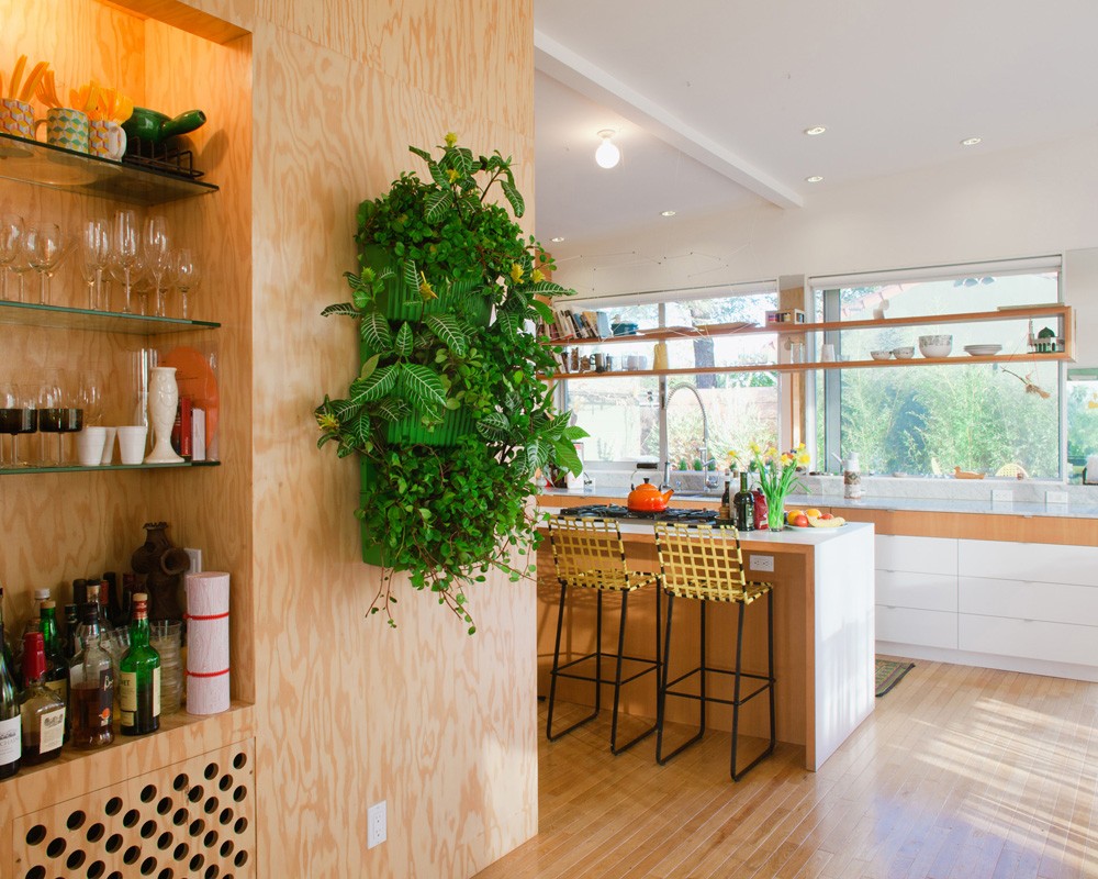 living_wall_planter_barbara_bestor_kitchen-lowres