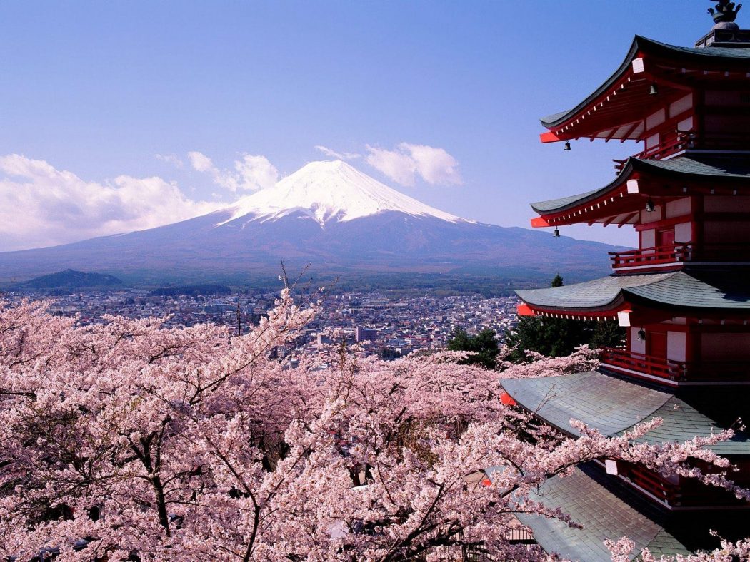 tokyo in blossom