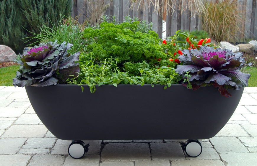 tumblr 10 Fascinating and Unique Ideas for Portable Gardens