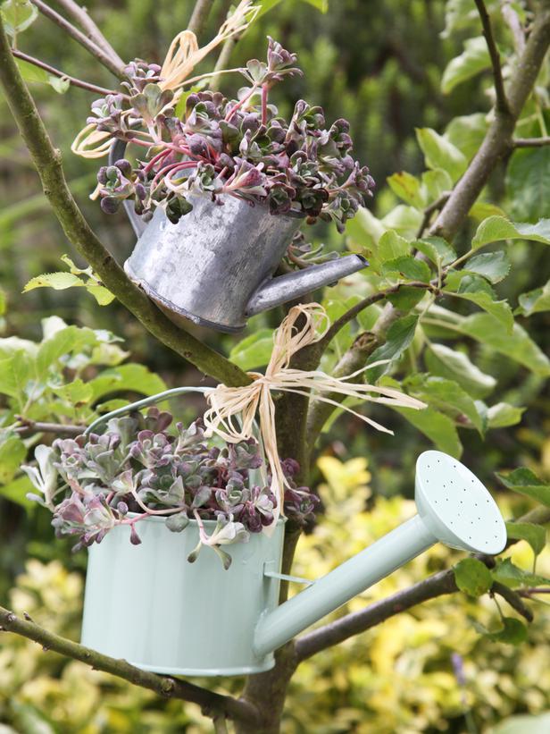 watering-cans_s3x4_lg 10 Fascinating and Unique Ideas for Portable Gardens