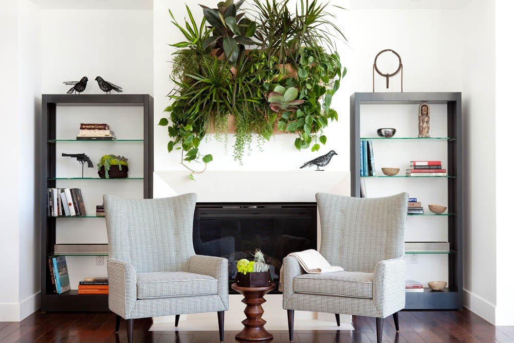 woolly pocket wall planter