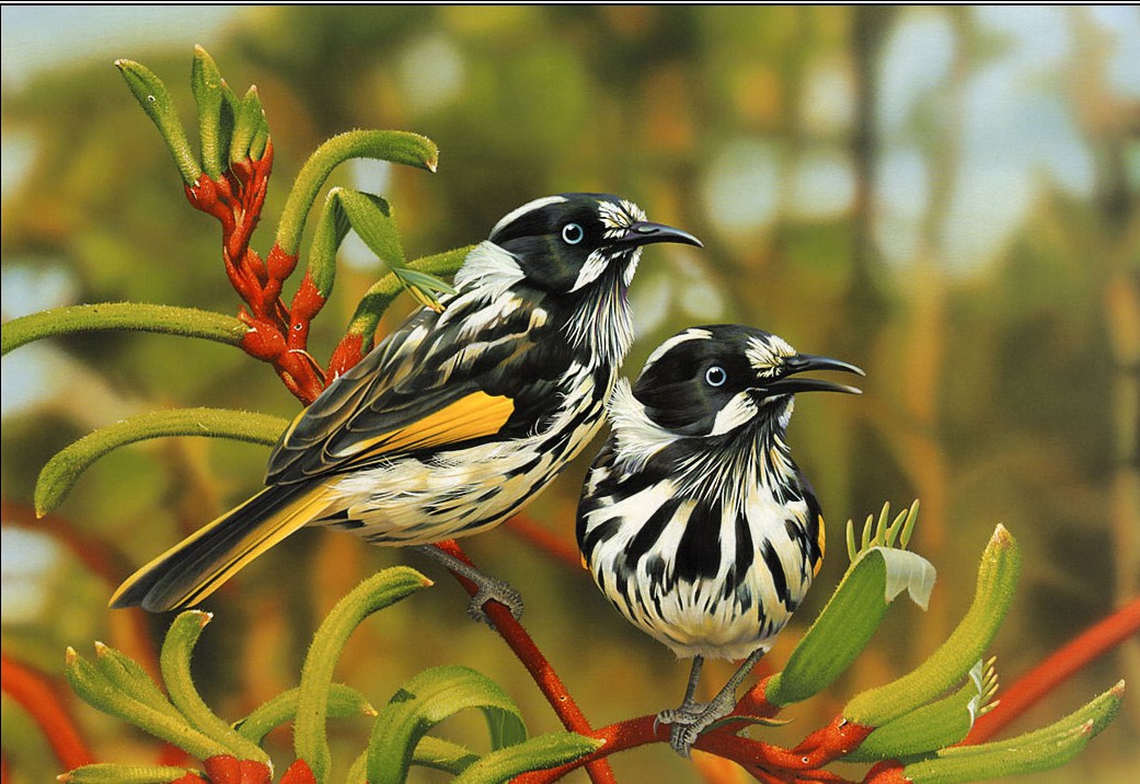 So You Decide To Breed Birds At Home? 6 Beautiful Birds