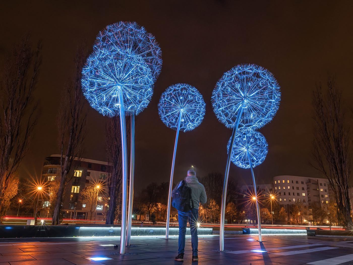 Dandelion 10 Most Inspiring Installations Around The World - 8