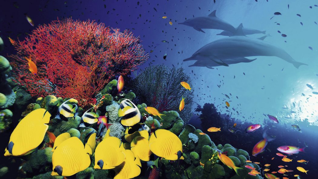Top 10 Most Luxurious Honeymoon Destinations 21 Hurghada.