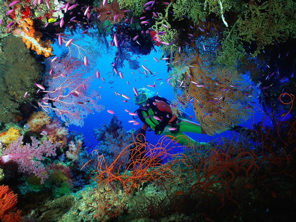 diving