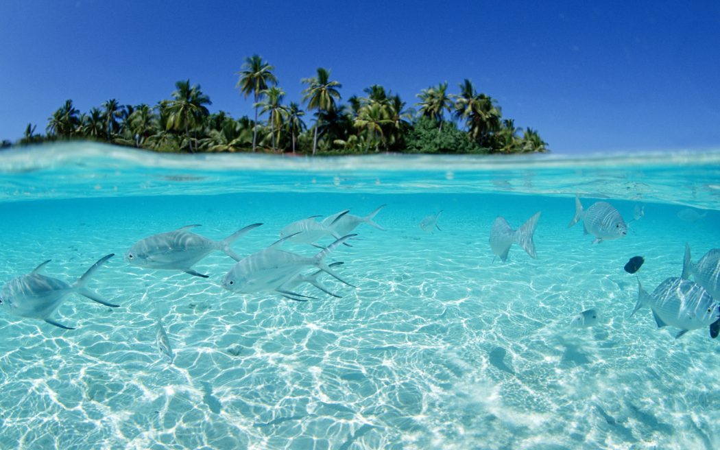 Top 10 Most Luxurious Honeymoon Destinations 2 hawaii