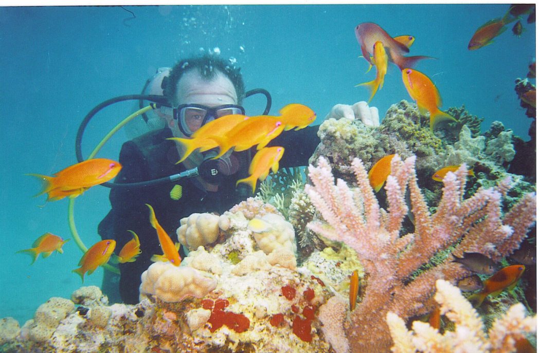 Top 10 Most Luxurious Honeymoon Destinations 20 rick red fish coral