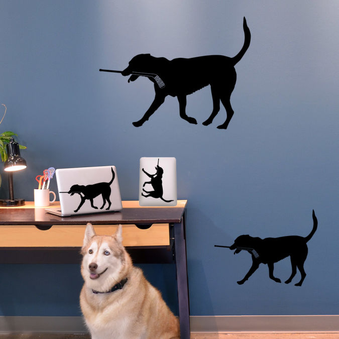 17 Amazing and Catchy Wall Stickers for Home Decoration