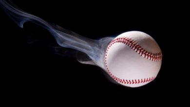 List of the World's 10 Most Expensive Baseball Cards 42 Baseball. List of the World's 10 Most Expensive Baseball Cards - 2 using flowers