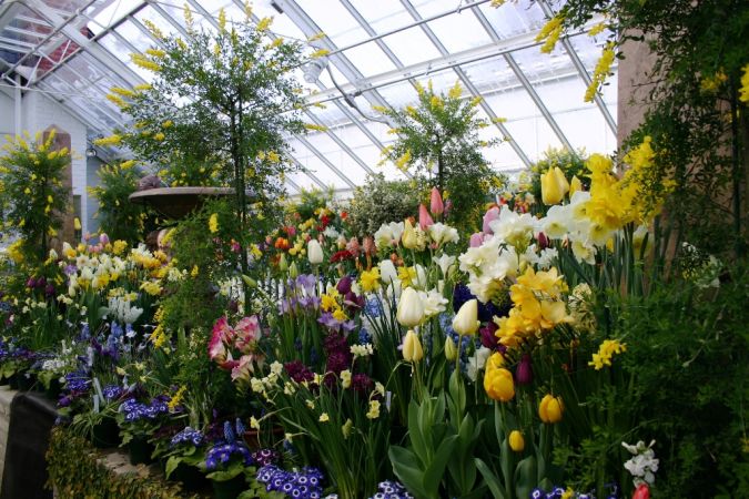 Smith_botanic_garden_greenhouse