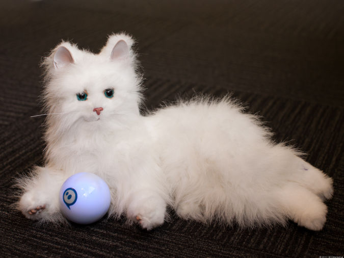 Best 10 Robot Gift Ideas 37 Sphero cat