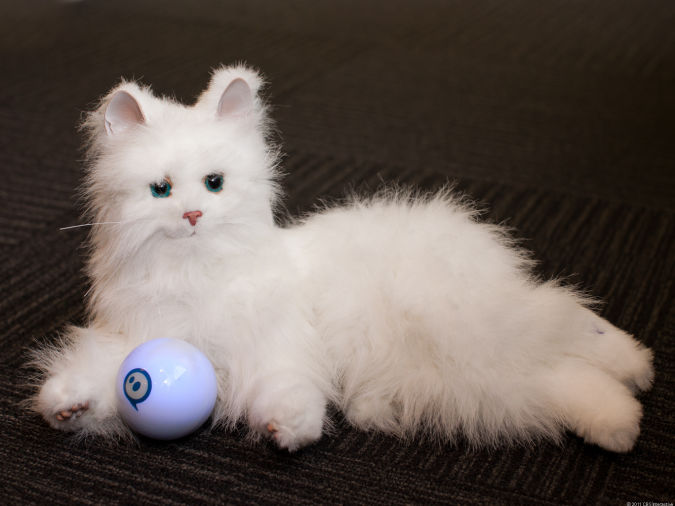 Sphero_cat Best 10 Robot Gift Ideas