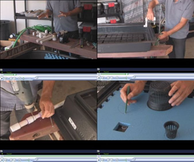 Organic Gardening Secret for Growing Plants Abundantly and Quickly 6 aquaponic-video