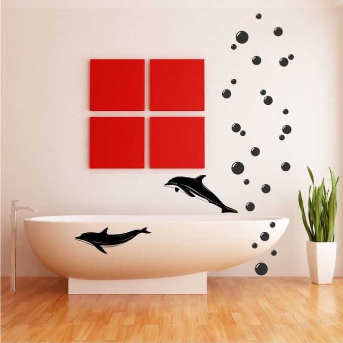 dolphins