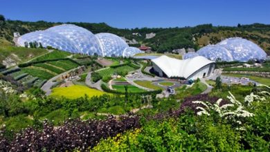Create Your Geodesic Dome Greenhouse Professionally, Step-by-Step 141 eden project Create Your Geodesic Dome Greenhouse Professionally, Step-by-Step - 7 birthday cake