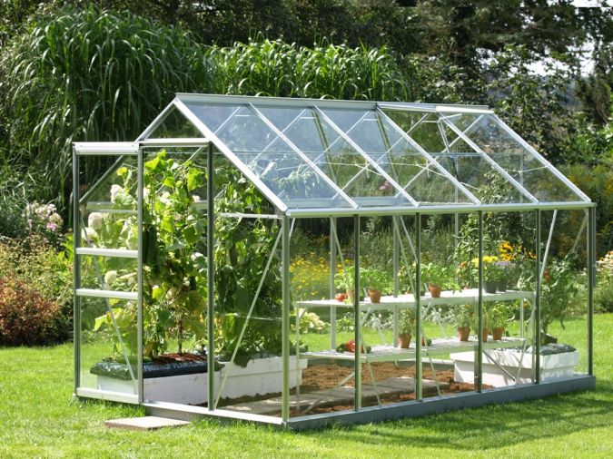 greenhouse venus with glass