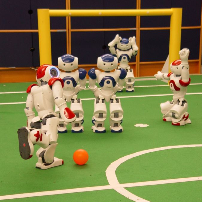 playing What Can Humanoid Robots Do?!