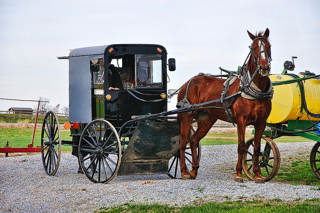 Most Popular Means Of Transportations in Different Countries 7 transport