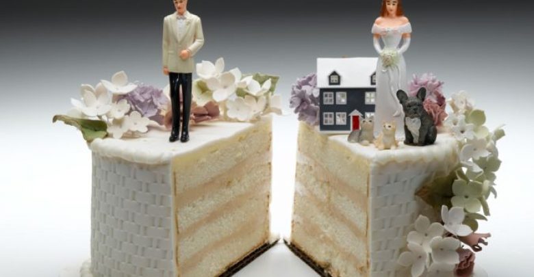 DIV Divorce Cake How to Save Your Marriage and Prevent Divorce - children 23