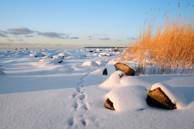 Footprints in snow