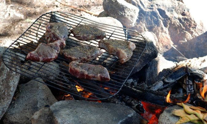 Steak-Shealor What Is the Importance of Survival Courses?
