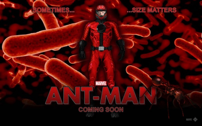 What Are Best Movies that You Can Watch? 15 ant man movie