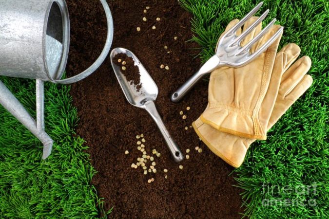 assortment-of-garden-tools-on-earth