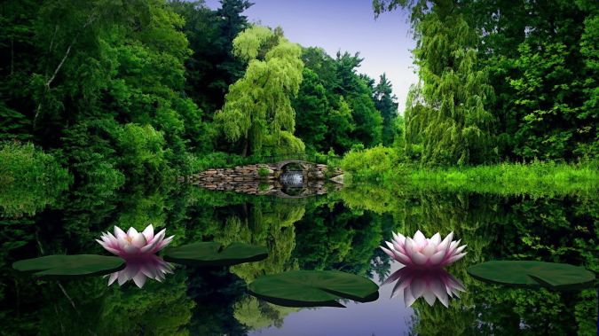 nature