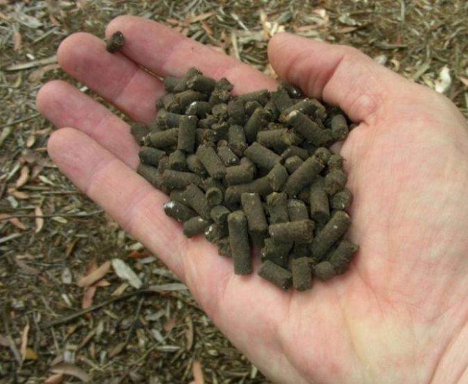 organic-fertilizer-in-hand